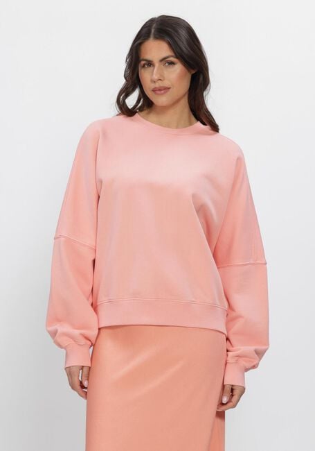 Roze DRYKORN Trui ASTERA_P4 - large