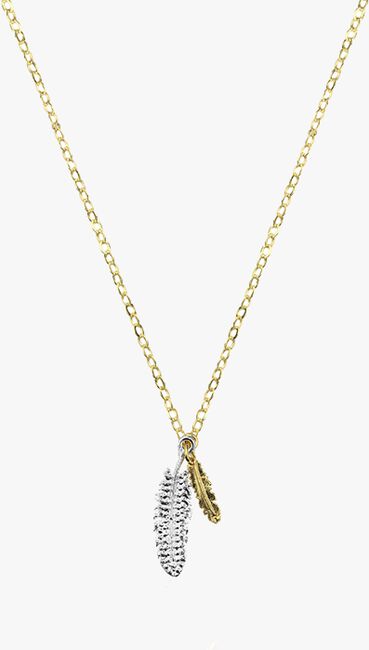 Gouden MY JEWELLERY Ketting TWO FEATHER NECKLACE - large