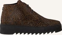 Bruine MARUTI Hoge sneakers TRIX - medium