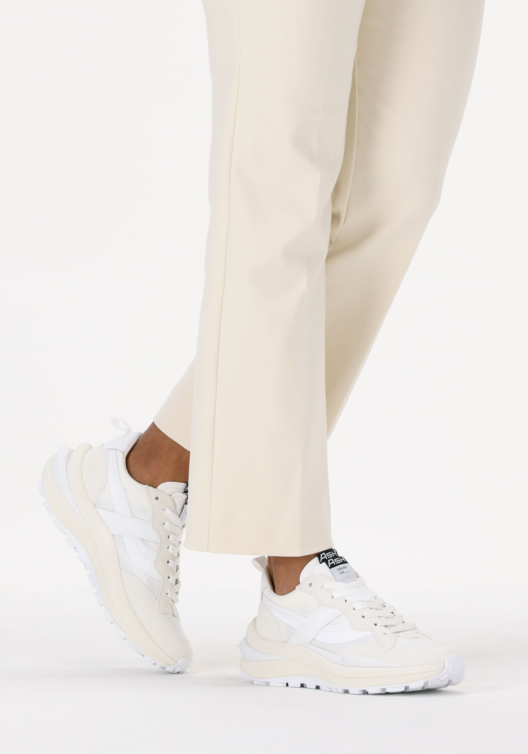 Witte ASH Lage sneakers SPIDER - large