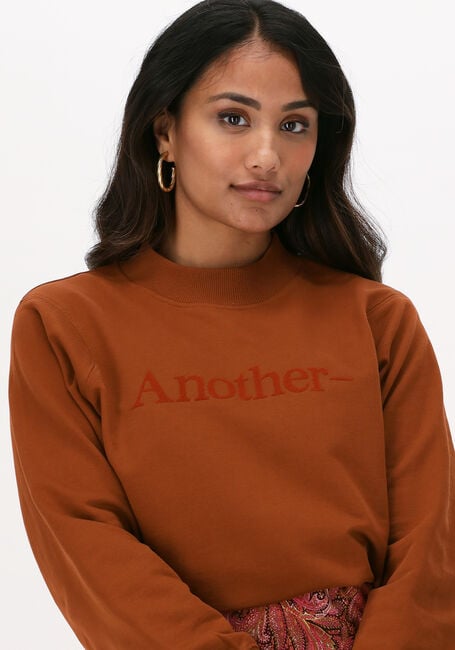 Bruine ANOTHER LABEL Sweater ANOTHER SWEATER - large
