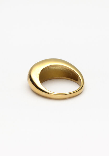 Goudkleurig NOTRE-V Ringen RING ZEGEL ONE SIZE Goudkleurig NOTRE-V Ringen RING ZEGEL ONE SIZE - large
