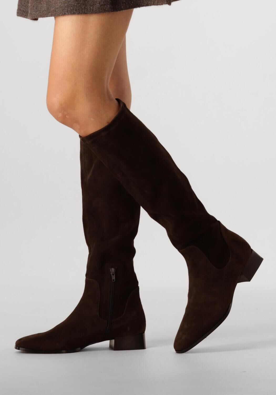 Bruine NOTRE-V Hoge laarzen 15180 - large