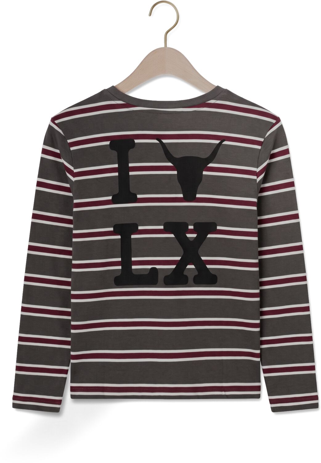 ALIX MINI Jongens Polo's & T-shirts Stripe Longsleeve Multi
