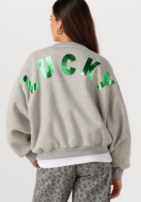 Grijze BY-BAR Trui BIBI LUCKY CURVE SWEATER - large