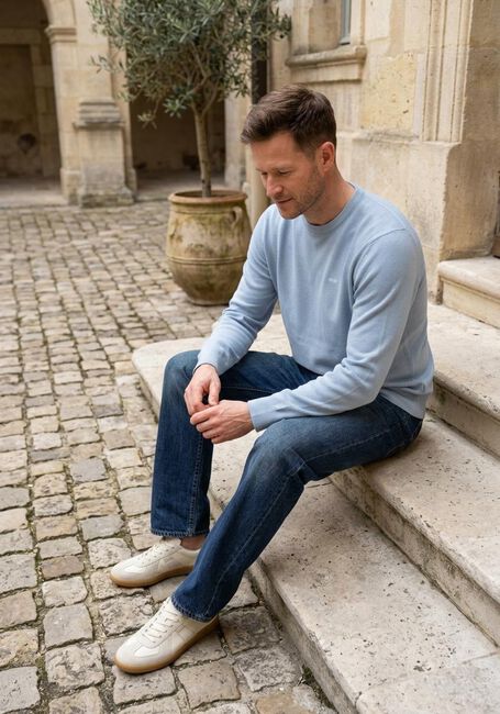 Lichtblauwe LEVI'S Trui LIGHTWEIGHT HM SWEATER RUTABAGA PIQUE - large