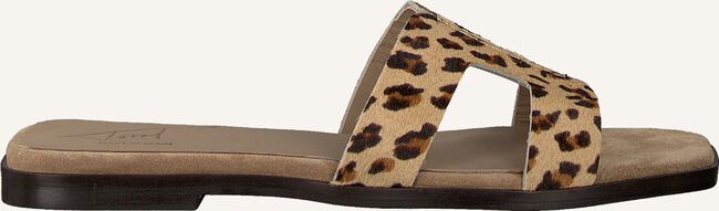 Beige TORAL Slippers 11074 Beige TORAL Slippers 11074 - large