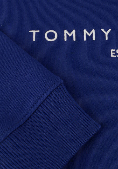 Blauwe TOMMY HILFIGER Trui U CORP LOGO ESS HOODIE - large
