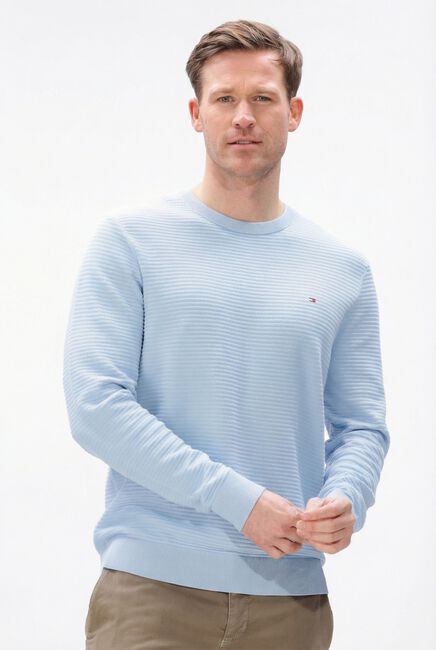 Lichtblauwe TOMMY HILFIGER Trui SEASONAL STRUCTURE CNECK - large
