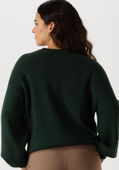 Groene MSCH COPENHAGEN Trui MSCHACENTIA RACHELLE PULLOVER - large