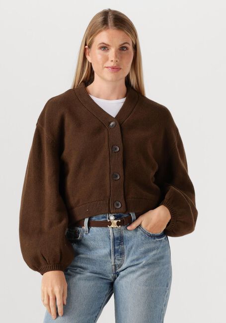 Bruine MSCH COPENHAGEN Vest MSCHZAFINA CARDIGAN - large