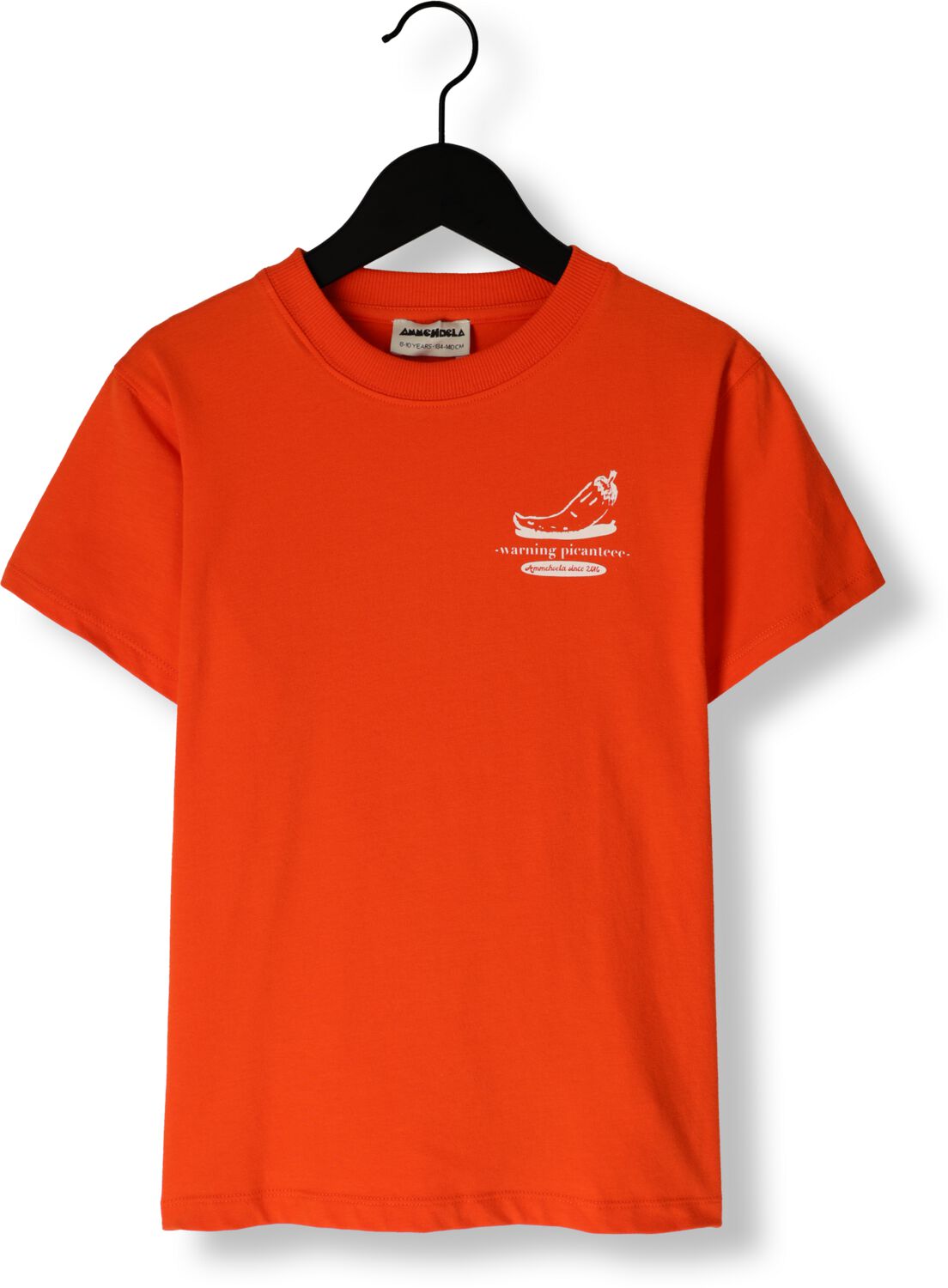 AMMEHOELA Jongens Polo's & T-shirts Zoe Oranje