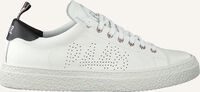 Witte P448 Lage sneakers SHANE MEN - medium