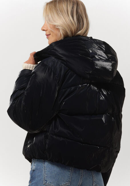 Zwarte SCOTCH & SODA Gewatteerde jas WATER REPELLENT TECHNICAL PUFFER JACKET - large
