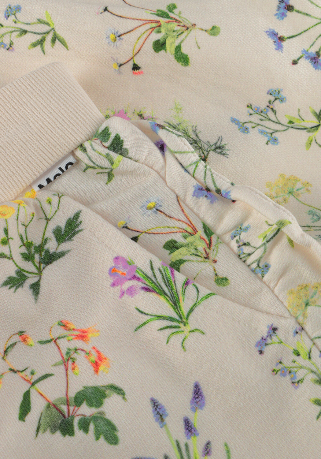 Ecru MOLO Korte broek ACACIA - large