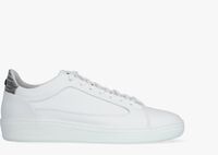 Witte FLORIS VAN BOMMEL Lage sneakers 13265 - medium