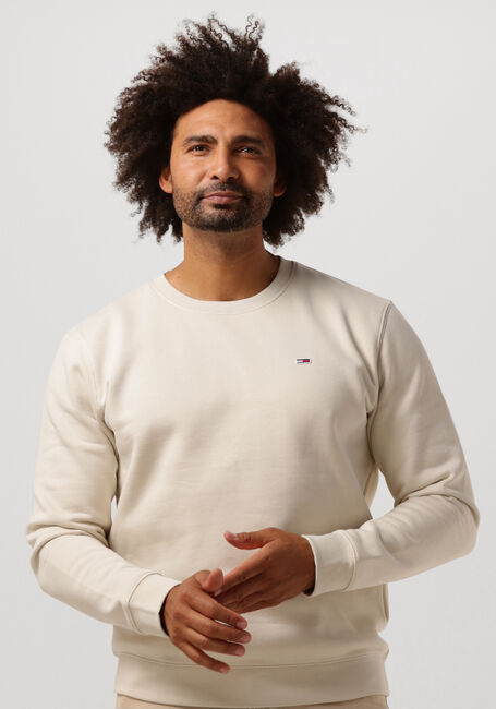 Beige TOMMY JEANS Sweater TJM REGULAR FLEECE C NECK - large