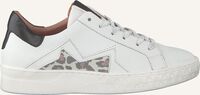 Witte OMODA Lage sneakers 714107 - medium