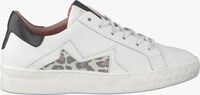 Witte OMODA Lage sneakers 714107 - medium