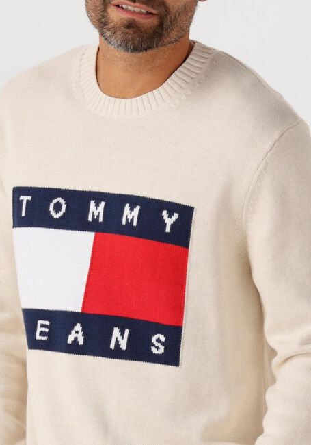 Beige TOMMY JEANS Trui TJM REG MELANGE FLAG SWEATER - large