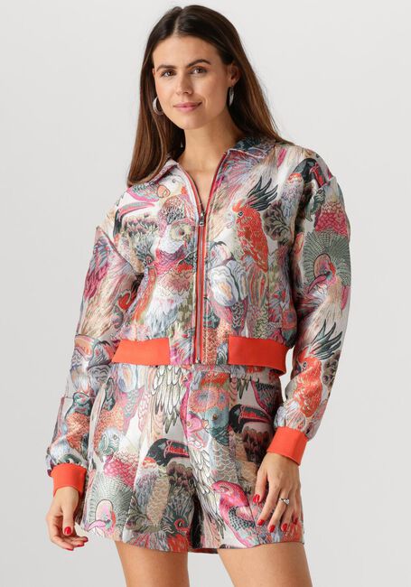 Multi STUDIO AMAYA Jack HAILEY - large