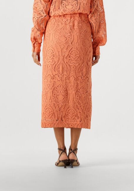 Perzik AAIKO Midirok AMIA PES 565 - large