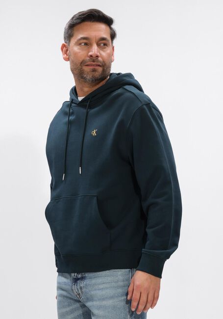 Petrol CALVIN KLEIN Sweater LS 350TERRY EU MONOGRAM HOODIE - large