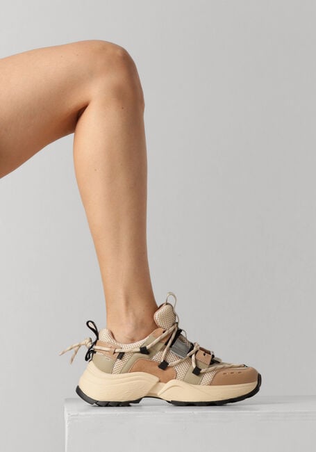Groene STEVE MADDEN Lage sneakers TAZMANIA - large