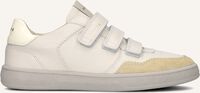 Beige NUBIKK Lage sneakers RAY STRAPS - medium