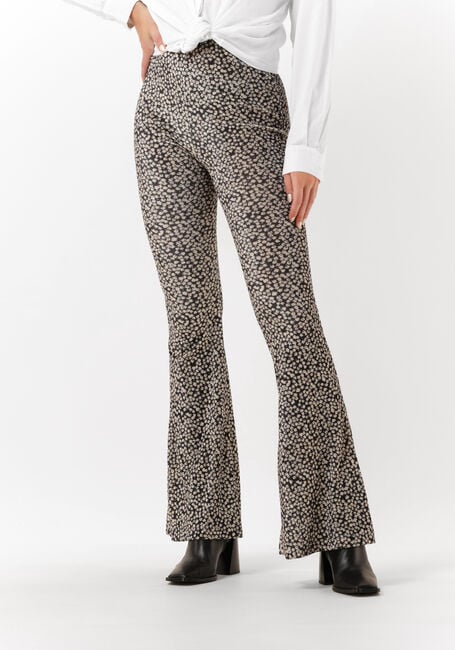 Zwarte CATWALK JUNKIE Flared broek TR DAWN - large