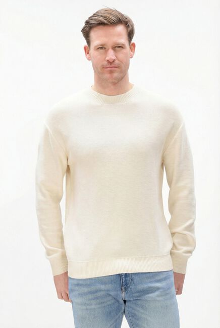 Beige ANERKJENDT Trui AKEBBE COTTON/SILK KNIT - large