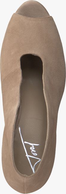 Taupe TORAL Pumps 10421 - large