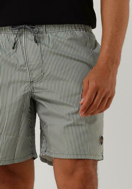 Groene SHIWI Zwembroeken MEN SWIMSHORT SKINNY STRIPE - large