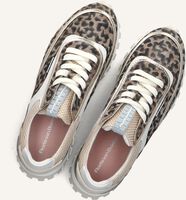Beige FLORIS VAN BOMMEL Lage sneakers SFW-10131 GROMMI Beige FLORIS VAN BOMMEL Lage sneakers SFW-10131 GROMMI - medium