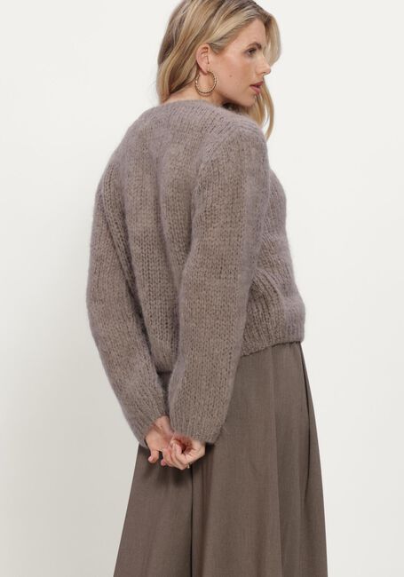 Taupe INWEAR Trui JETRAIW CARDIGAN - large