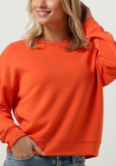 Oranje MSCH COPENHAGEN Sweater MSCHIMA Q SWEATSHIRT - large