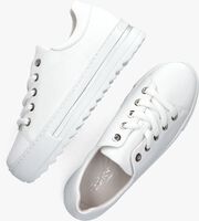 Witte GABOR Lage sneakers 496 - medium