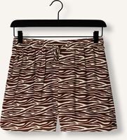 Bruine COLOURFUL REBEL Broeken TILLY ZEBRA SLIT SHORT Bruine COLOURFUL REBEL Broeken TILLY ZEBRA SLIT SHORT - medium