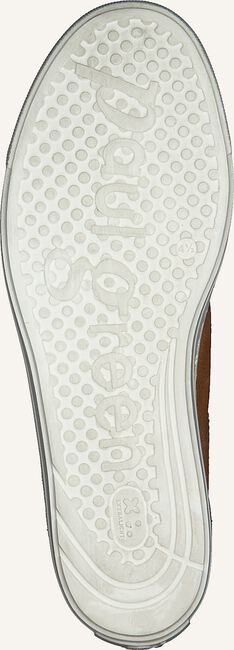 Camel PAUL GREEN Lage sneakers 4841 Camel PAUL GREEN Lage sneakers 4841 - large