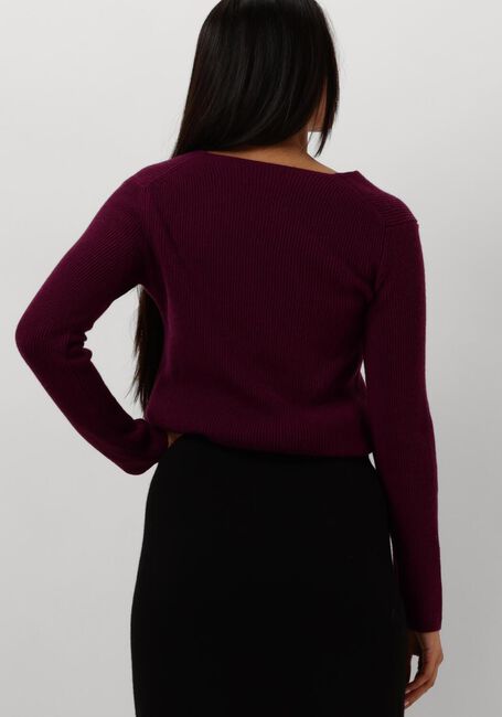 Paarse RESORT FINEST Trui V-NECK RIB KNIT - large