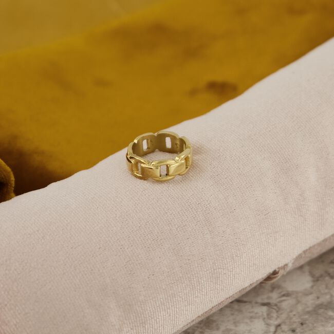 Goudkleurig NOTRE-V Ringen RING SCHAKEL ONE SIZE Goudkleurig NOTRE-V Ringen RING SCHAKEL ONE SIZE - large