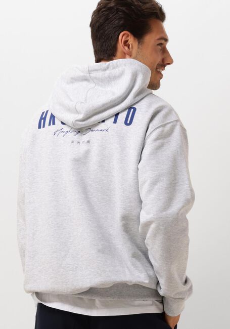 Lichtgrijze WOODBIRD Sweater WBPACS 8410 HOODIE - large