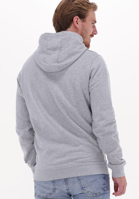 Grijze LYLE & SCOTT Truien/vesten PULLOVER HOODIE - large