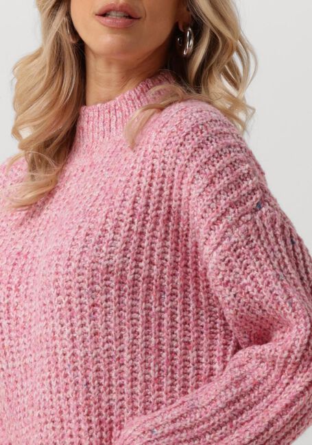 Roze ANOTHER LABEL Trui DYLAN KNITTED PULL - large