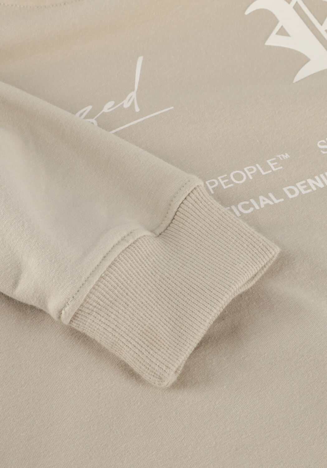 RAIZZED Jongens Truien & Vesten Nile Beige