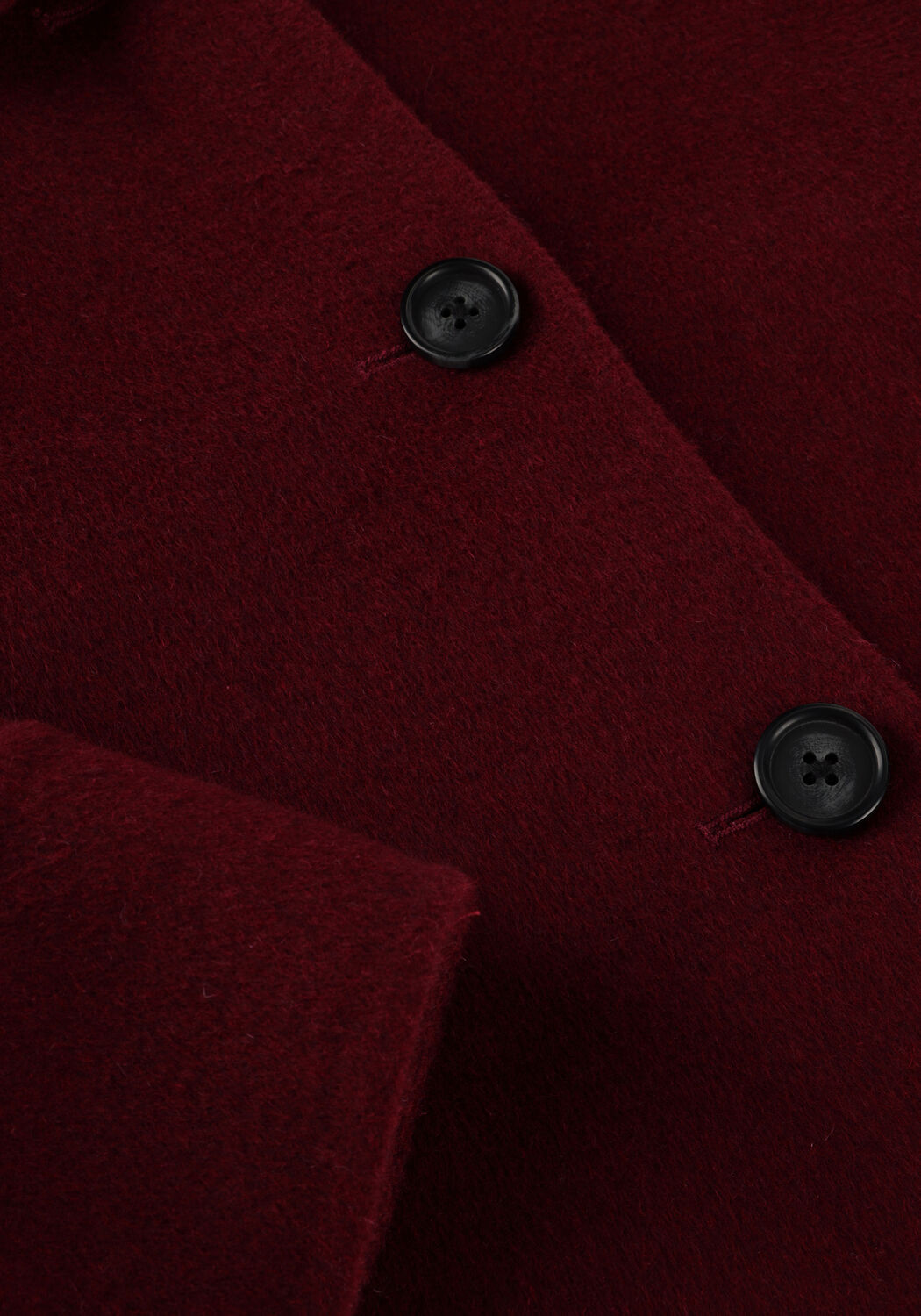 Bordeaux STUDIO AR Teddy jas NICOLINA - large