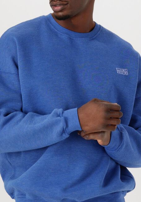 Blauwe AMERICAN VINTAGE Trui DOVEN H - large