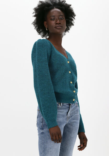 Groene FABIENNE CHAPOT Vest SALLY CARDIGAN LONG SLEEVE - large