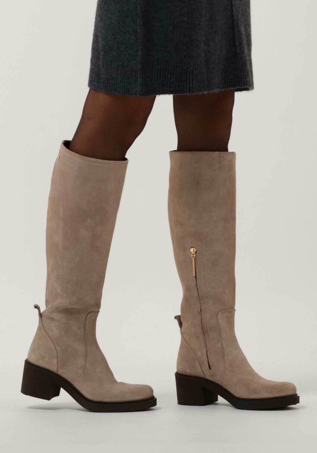 Taupe FRED DE LA BRETONIERE Hoge laarzen 193010123 - large