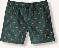 Donkergroene SHIWI Zwembroeken SWIM SHORTS SHIWI SCRATCH PALM Donkergroene SHIWI Zwembroeken SWIM SHORTS SHIWI SCRATCH PALM - medium